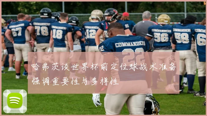 哈弗茨谈世界杯前定位球战术准备强调重要性与多样性